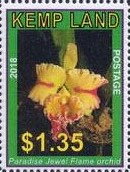 Orchids (Paradise Jewel Flame)