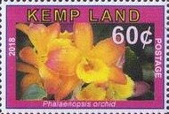 Orchids (Phalaonopsis)