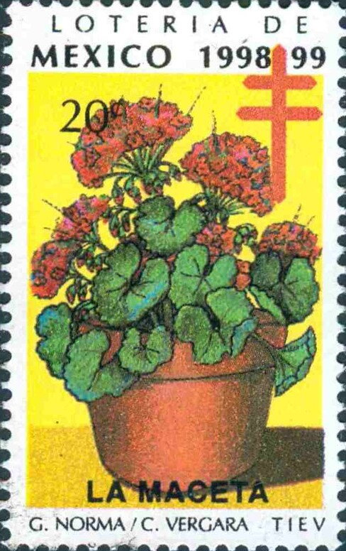 The Flower Pot