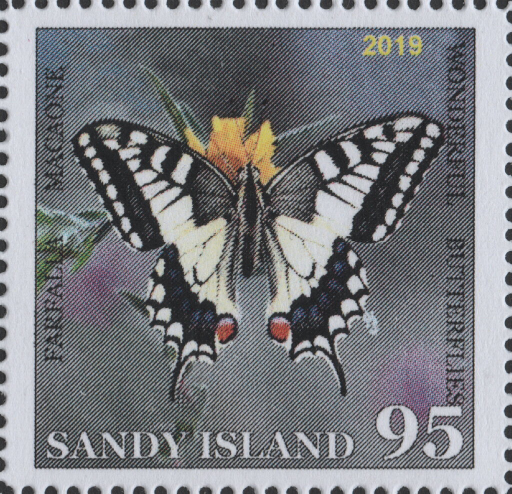 Wonderful Animals, Butterfly