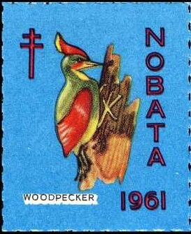 Woodpecker