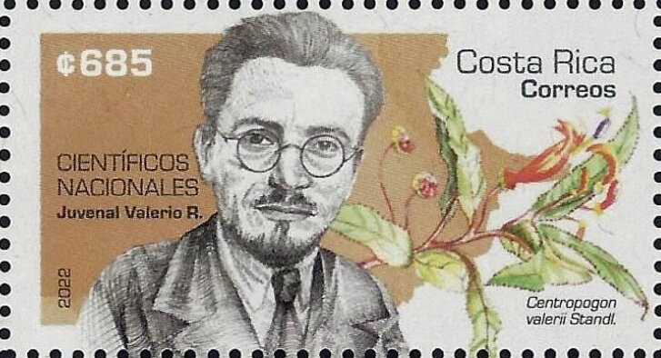 Juvenal Valerio Rodríguez and Centropogon valerii