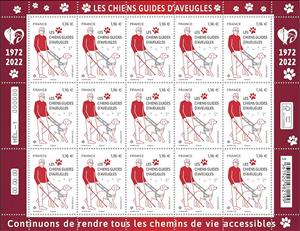 Full Pane, Guide Dogs for the Blind, France,  , Disabled, Dogs