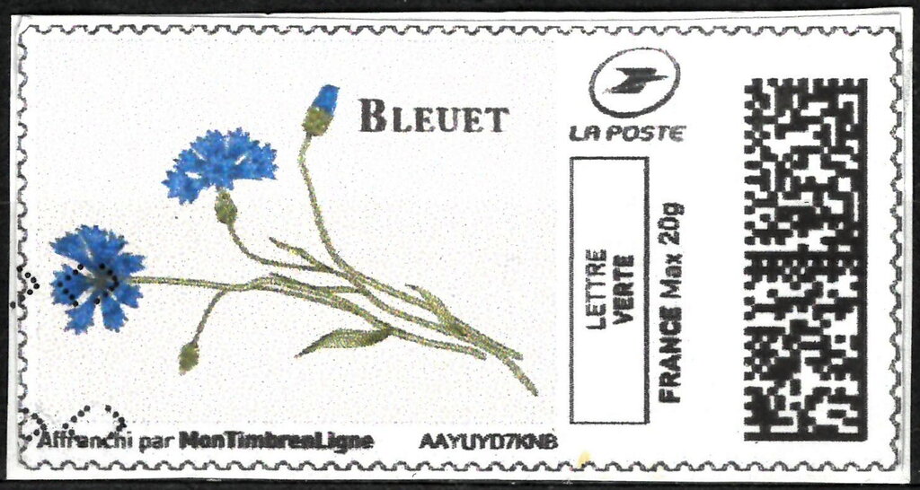 Cornflower. Bleuet