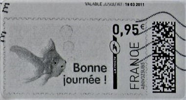 Gold Fish. Have a Good Day. Bonne Journee