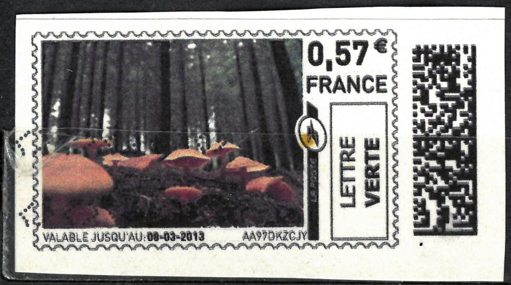 Orange Toadstools
