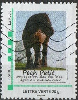 Pech Petit. Cart Horse