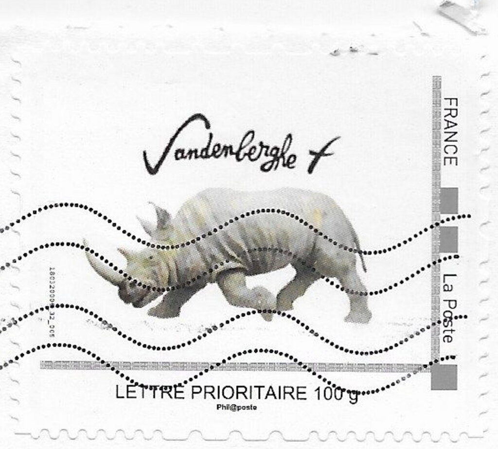 Vandenberghe Rhinoceros