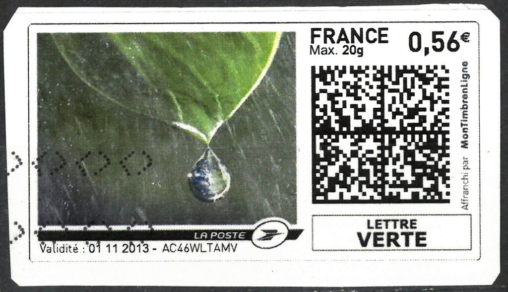 Water droplet falling from a leaf in the rain