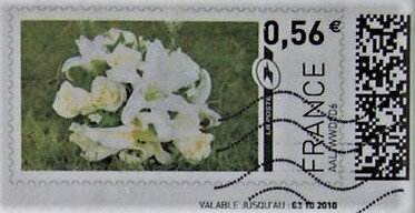 White Flowers 1