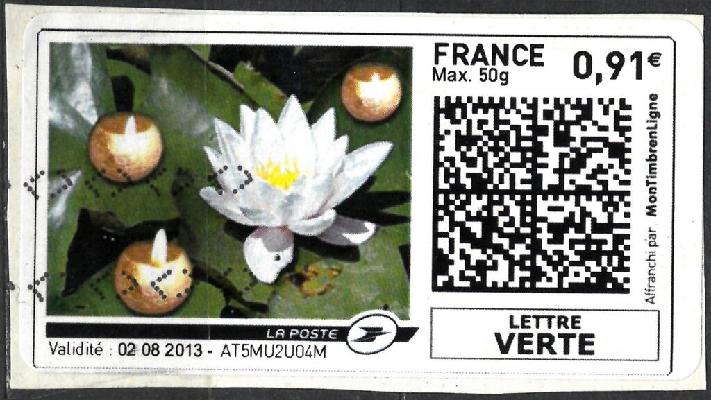 White Water Lily and Candles