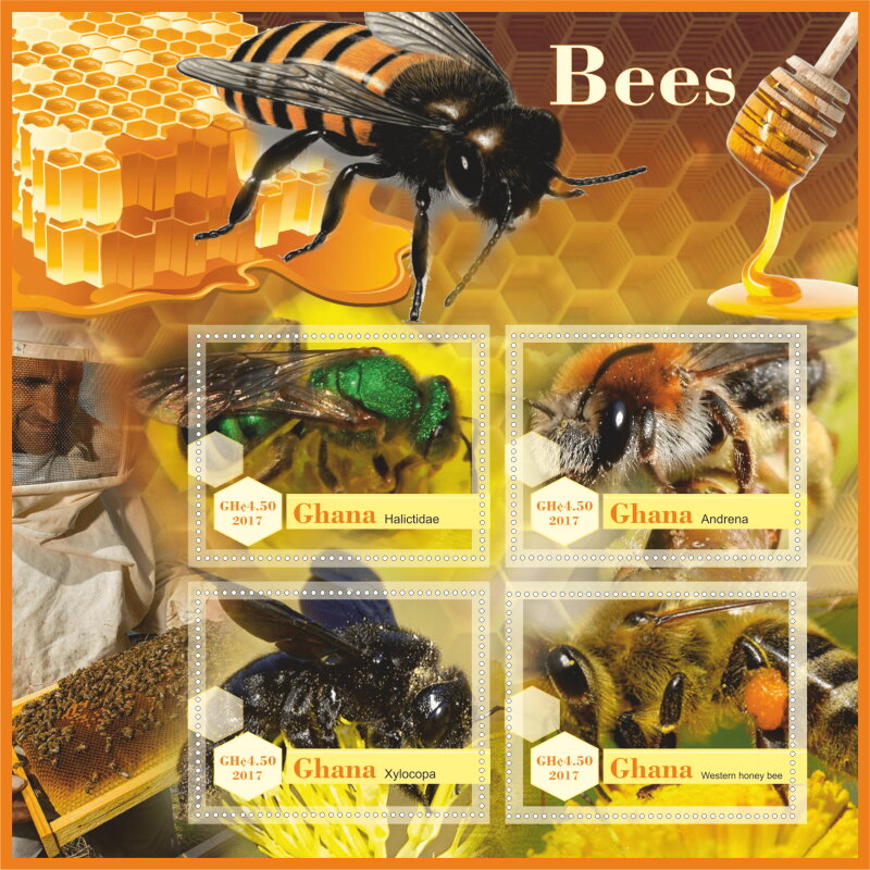 Fauna Bees
