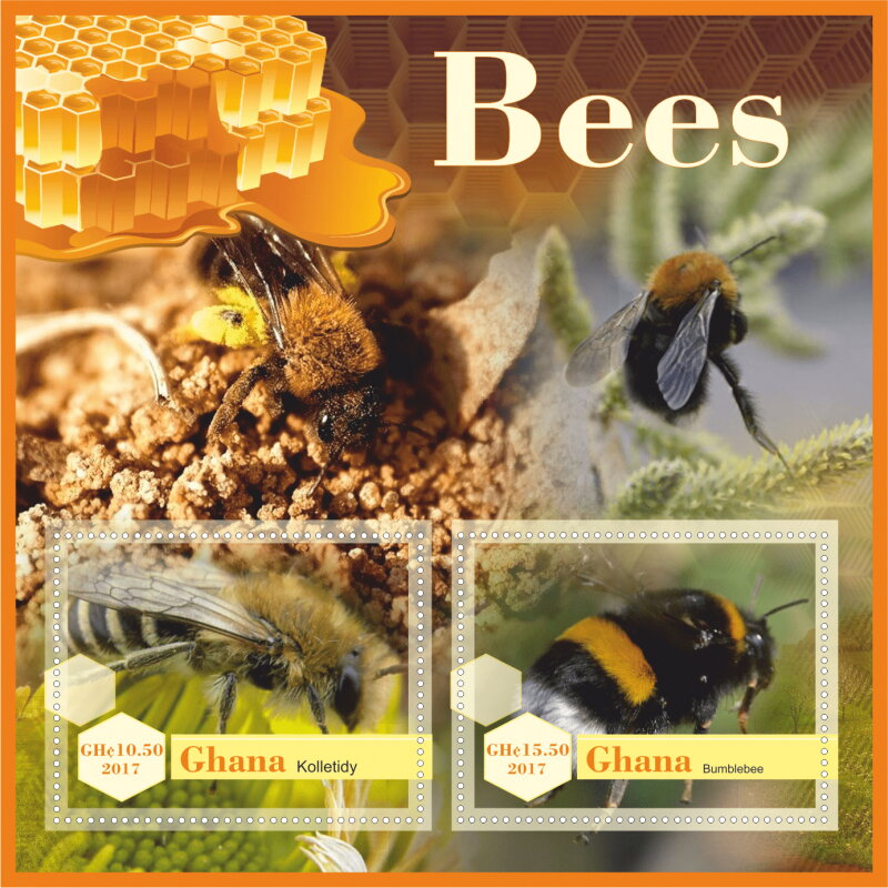 Fauna Bees