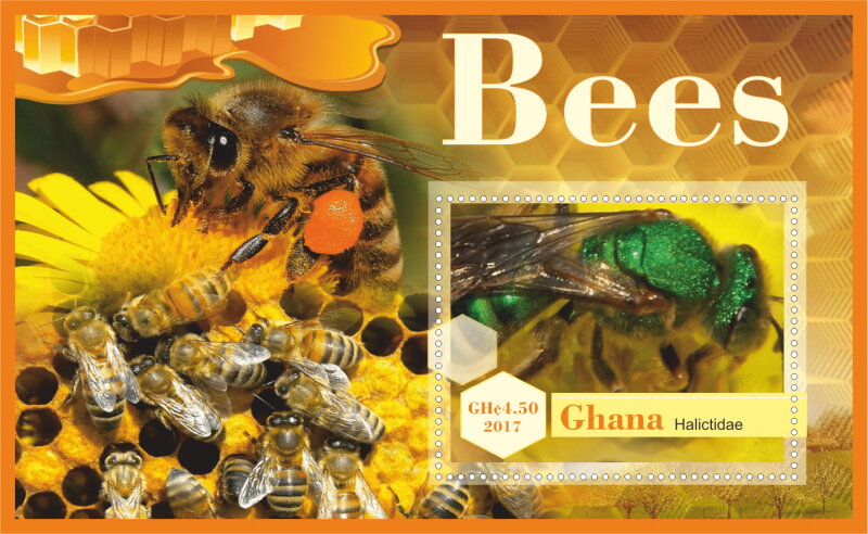 Fauna Bees