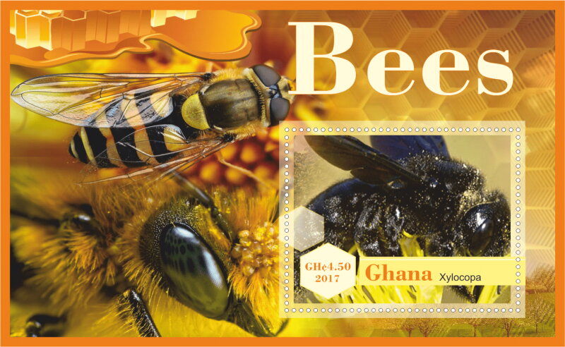 Fauna Bees