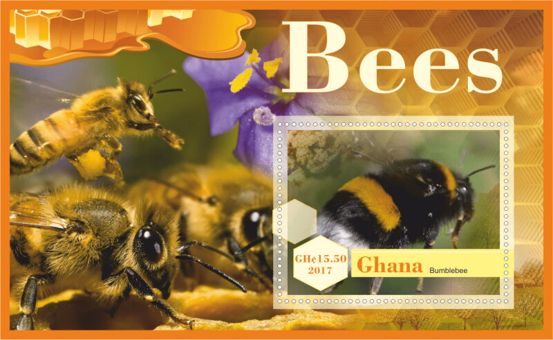 Fauna Bees