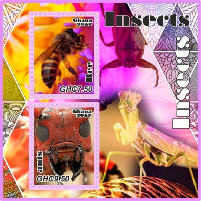 Fauna Insects