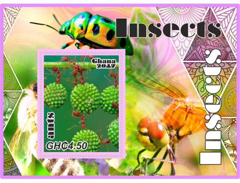 Fauna Insects