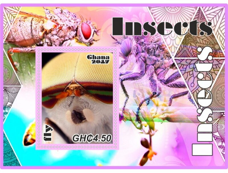 Fauna Insects