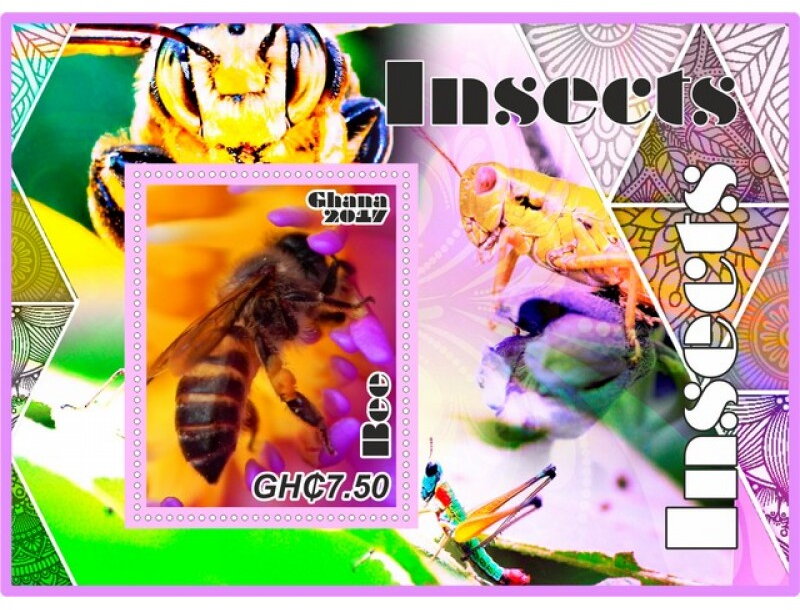 Fauna Insects