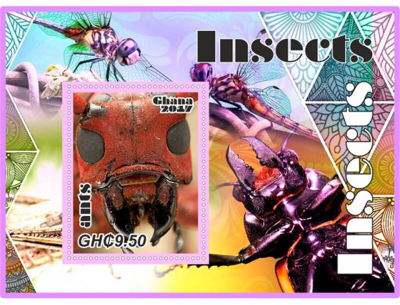 Fauna Insects
