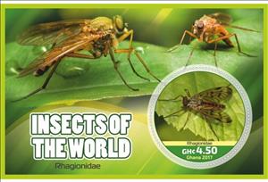 Souvenir Sheet, Fauna Insects of the world, Ghana,  , Insects