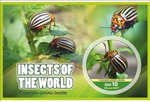 Souvenir Sheet, Fauna Insects of the world, Ghana,  , Insects