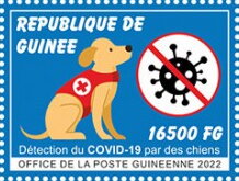 Detection of Covid-19 by Dogs