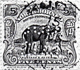 Asian Elephant (Elephas maximus)