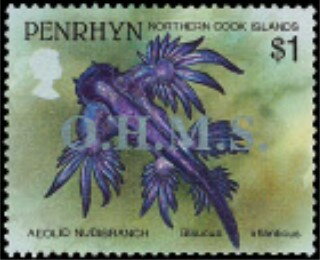 Aeolid Nudibranch (Glaucus atlanticus) - Silver Overprint