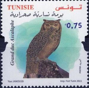 Stamp, Pharaoh Eagle-Owl (Bubo ascalaphus), Tunisia,  , Animals (Fauna), Birds, Birds of Prey, Owls