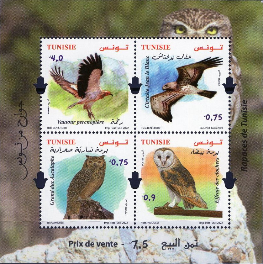 Raptors of Tunisia