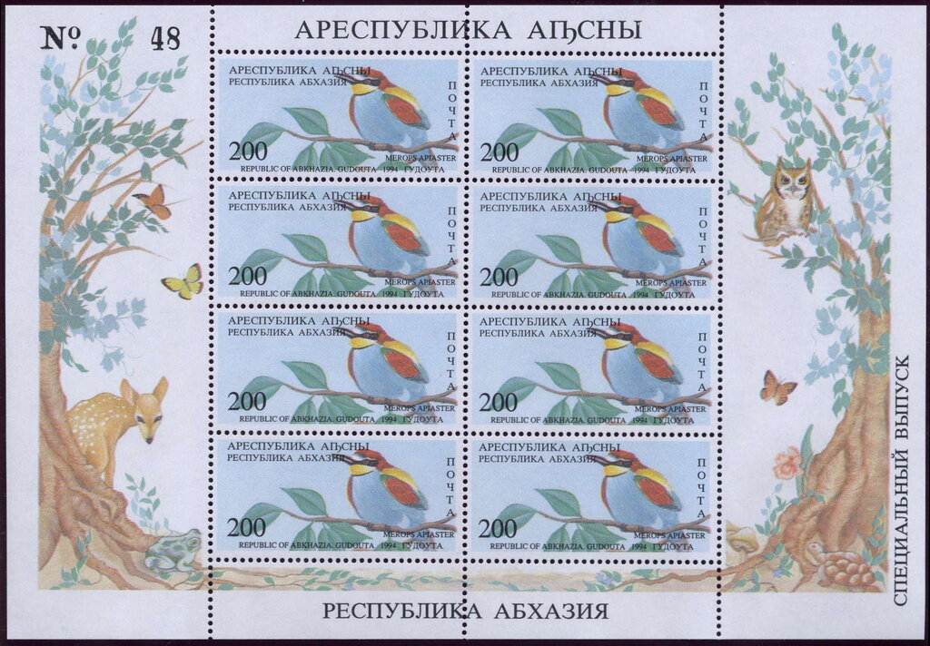 Gudauta District: European Bee-eater (Merops apiaster)