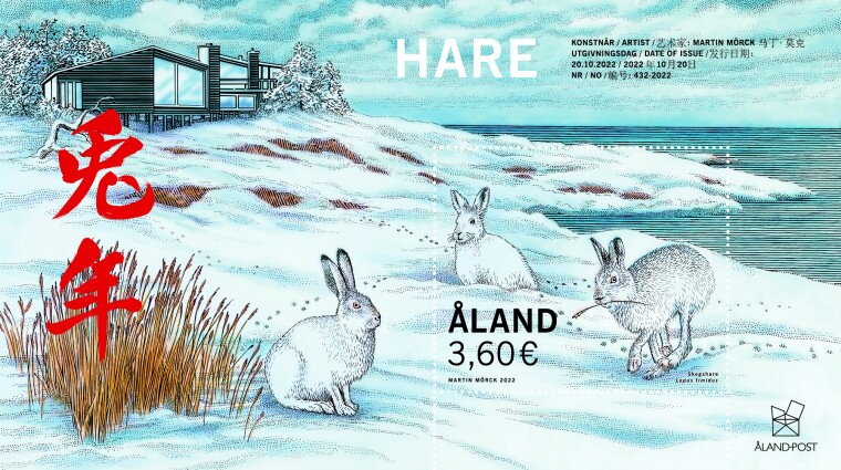 Mountain Hare (Lepus timidus)
