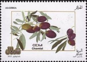 Stamp, Shimlal Olives, Algeria,  , Olives, Plants (Flora)