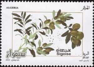 Stamp, Siqwaz Olives, Algeria,  , Olives, Plants (Flora)