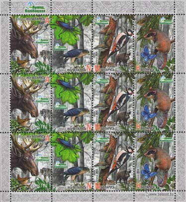 Naliboki Forest - Flora and Fauna