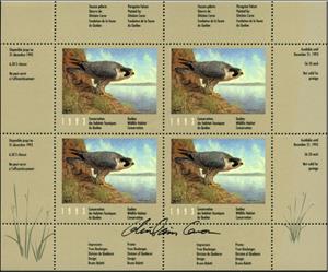 Booklet, Peregrine Falcon, Canada,  , Animals (Fauna), Birds, Birds of Prey, Falcons