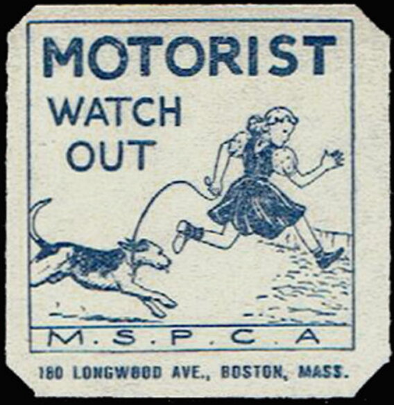 Motorist Watch out MSPCA
