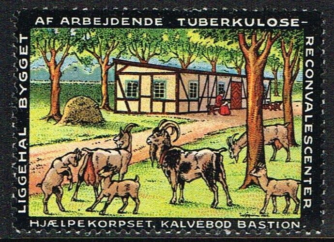 Tuberkulose Reconvalescenter Hjaelpekorpset Kalvebod Bastion