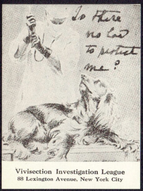 Vivisection Investigation League "Is there no one to protect