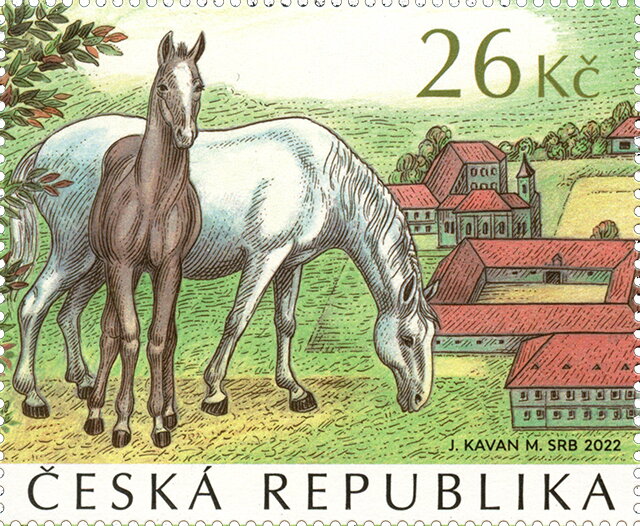 Carriage Horse Training, Kladruby nad Labem