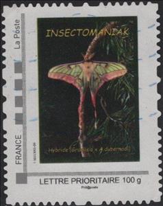 Stamp, Insectomaniak Hybride Graenisia x A. cubernadi, France,  , Animals (Fauna), Butterflies, Insects