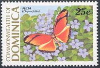 Flambeau (Dryas julia)