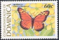 Monarch Butterfly (Danaus plexippus)