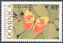Red-splashed Sulphur (Phoebis avellaneda)