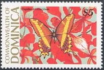 Bahaman Swallowtail (Papillo andraemon)