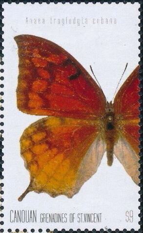 Cuban red Leaf (Anaea troglodyta cubana)