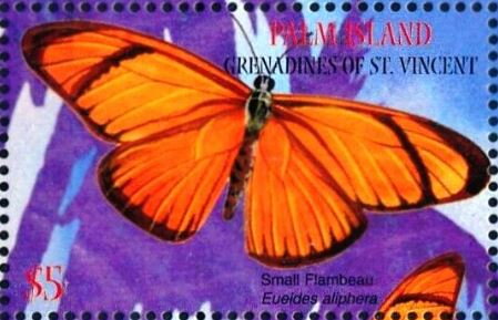 Caribbean Butterflies