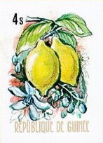 Limes